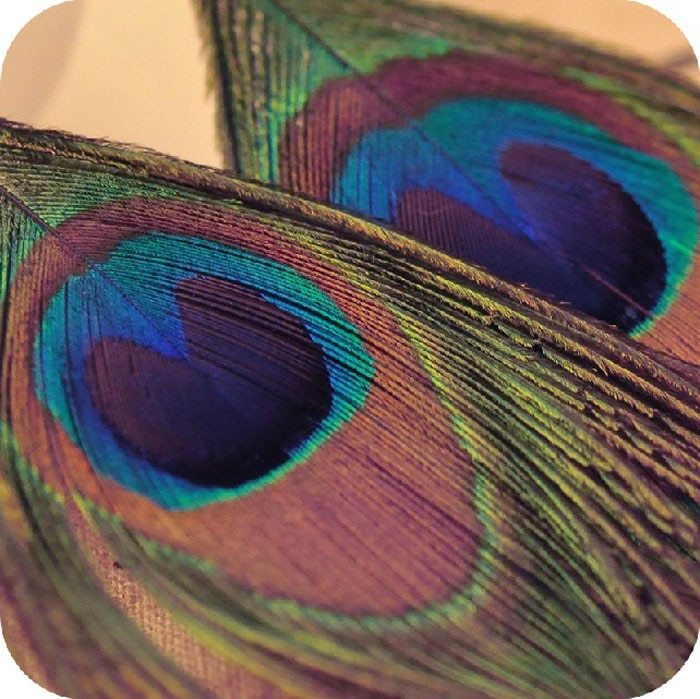 New Fashion Jewelry Earrings For Women Boho Charming Earring Simple Peacock Feather Vintage Luxury Long Dangle Earrings Cut