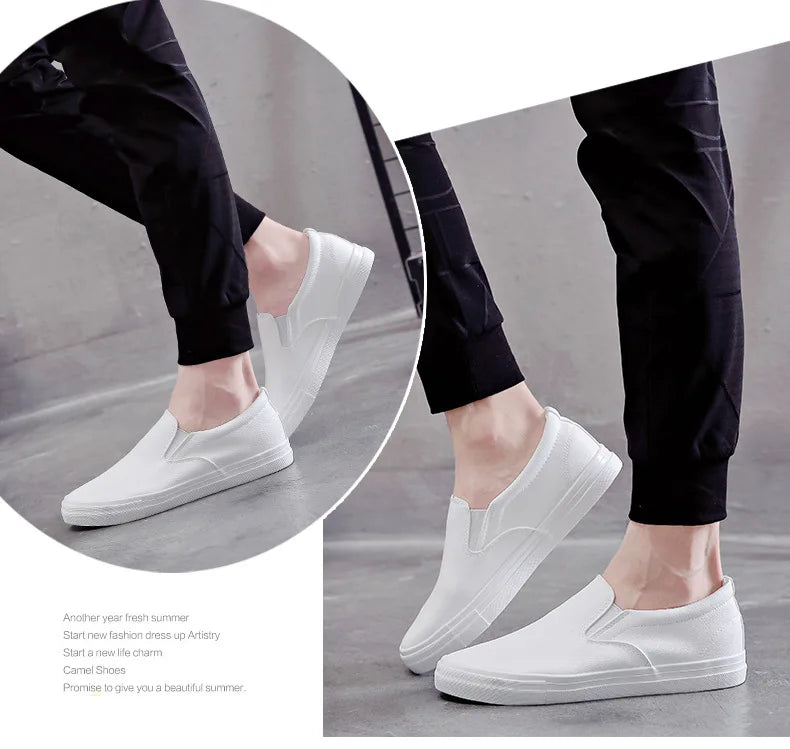 New Shoes for Men Leather Casual Shoes Spring Fashion Concise Flat Shoes 2 Colors Slip-on Loafers   (Available)