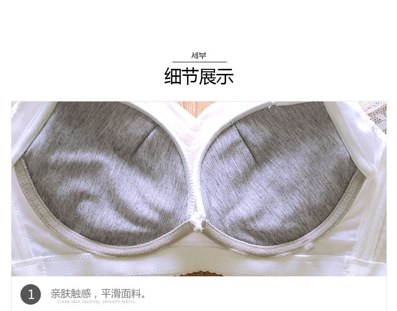 Women Blouse Elegant & Traditional Oktoberfest Half Sleeve Lace and Transparent Bavaria Dirndl Blouse