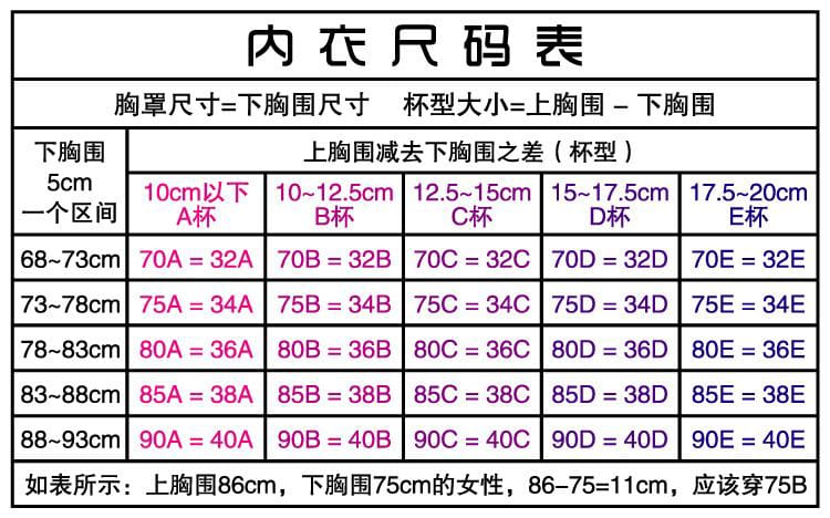 Women Blouse Elegant & Traditional Oktoberfest Half Sleeve Lace and Transparent Bavaria Dirndl Blouse